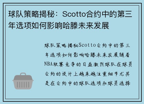 球队策略揭秘：Scotto合约中的第三年选项如何影响哈滕未来发展