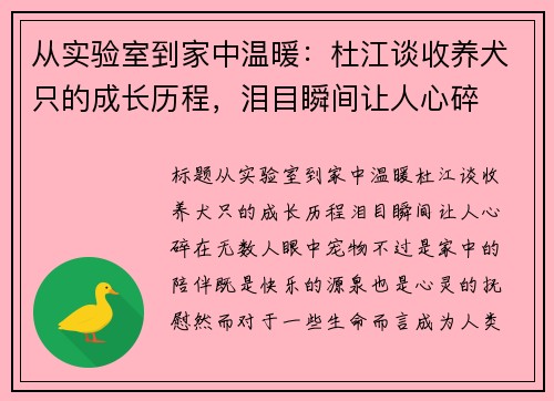 从实验室到家中温暖：杜江谈收养犬只的成长历程，泪目瞬间让人心碎