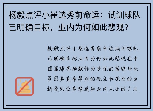 杨毅点评小崔选秀前命运：试训球队已明确目标，业内为何如此悲观？